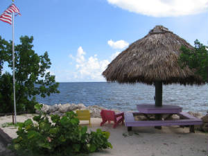 tikihut.jpeg