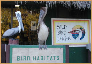 wildbirdcenter.jpg