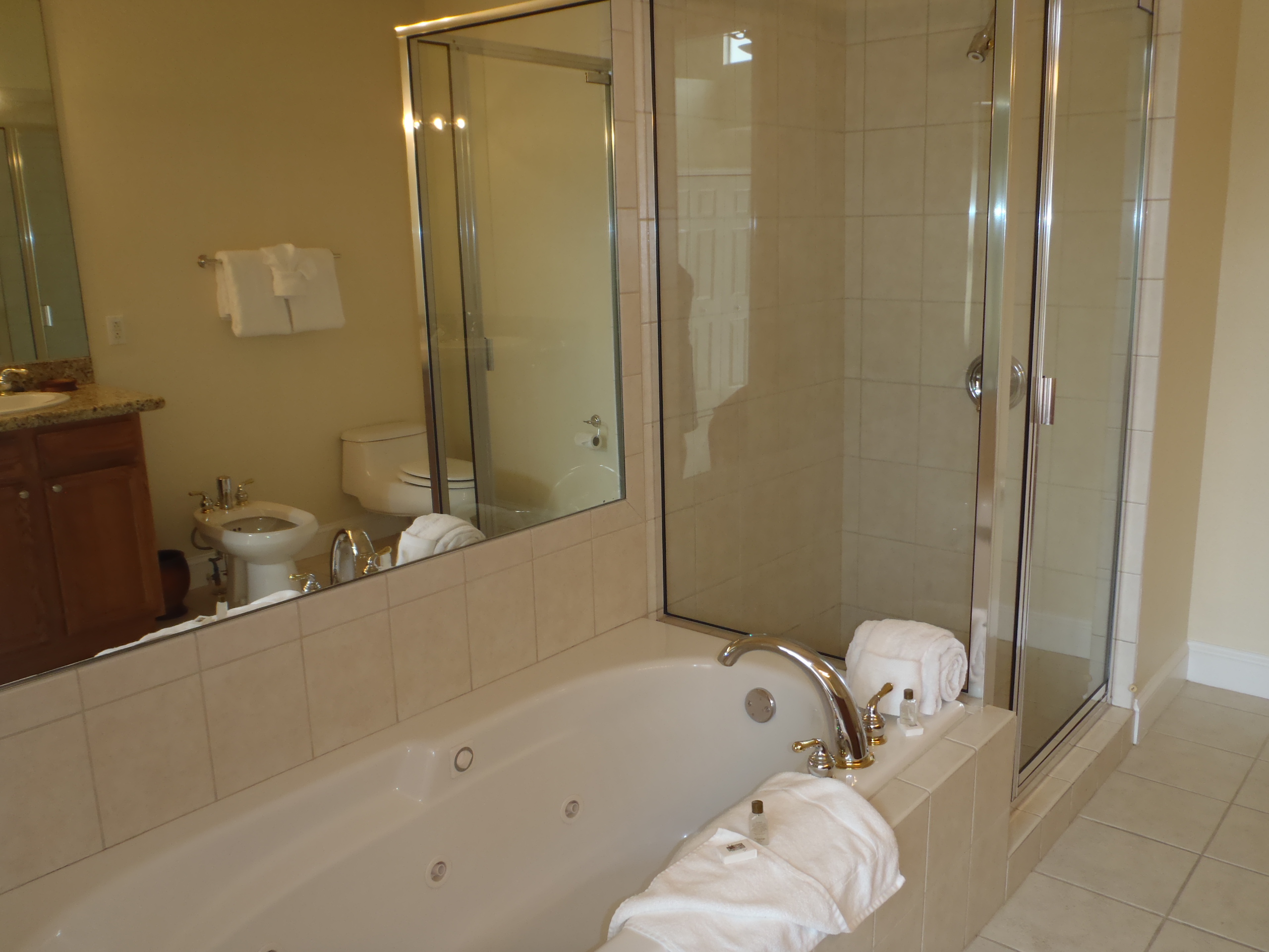 MasterBath2.JPG