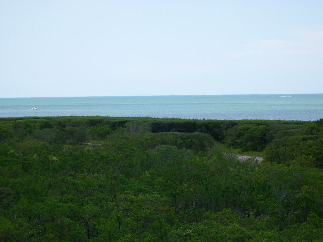 opoceanview.JPG